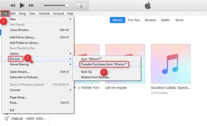 Transfer purchases from iPhone 7 to iTunes Windows