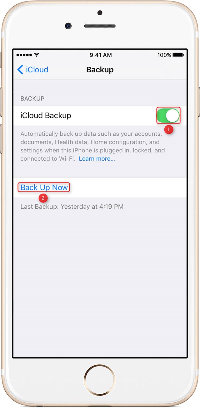 Turn on iCloud Backup and click Back Up Now