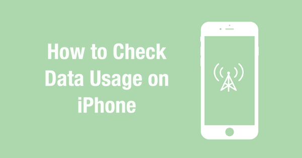 How to Check Your Cellular Data Usage on iPhone 7/6s/SE/6/5s/5