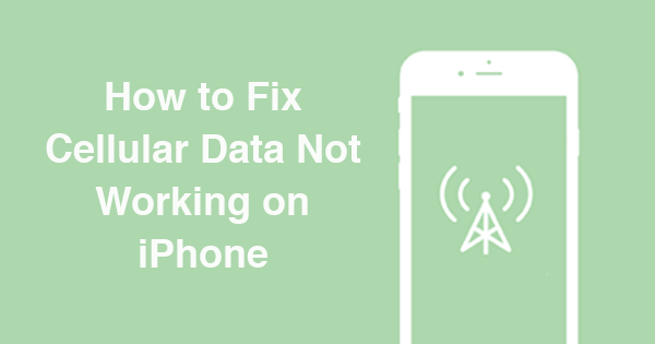 How to Fix Cellular Data Not Working on iPhone 7/7 Plus