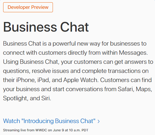 Apple explains new iOS 11 Business Chat in Messages app (Image Credit: Apple.com)