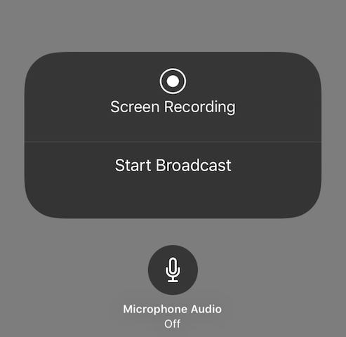 iOS 11 Live Broadcast Feature