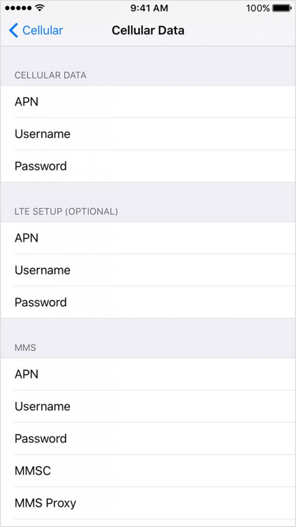 View APN Settings on iPhone