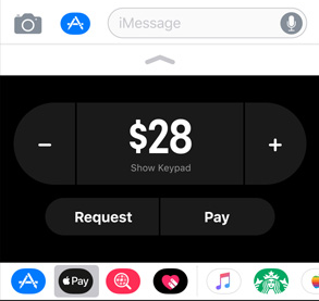 Send and Receive Money With iMessage