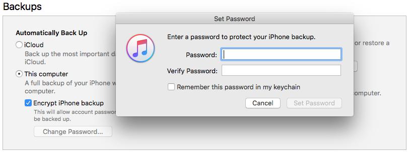 Enter a password to encrypt iPhone backup